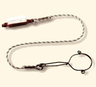 lanyard