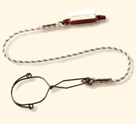 lanyard