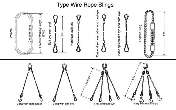 sections